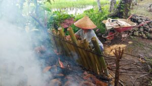 Tradisi Malamang Jelang Hari Raya Idul Fitri di Sungai Lareh, Kelurahan Lubuk Minturun, Kecamatan Koto Tangah, Koto Padang