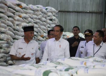 Presiden Jokowi saat mengecek pasokan beras di gudang Bulog Padang
